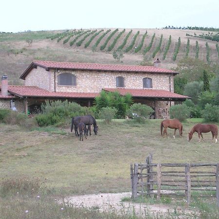 Casale Farnesiana B&B Tarquinia Eksteriør billede