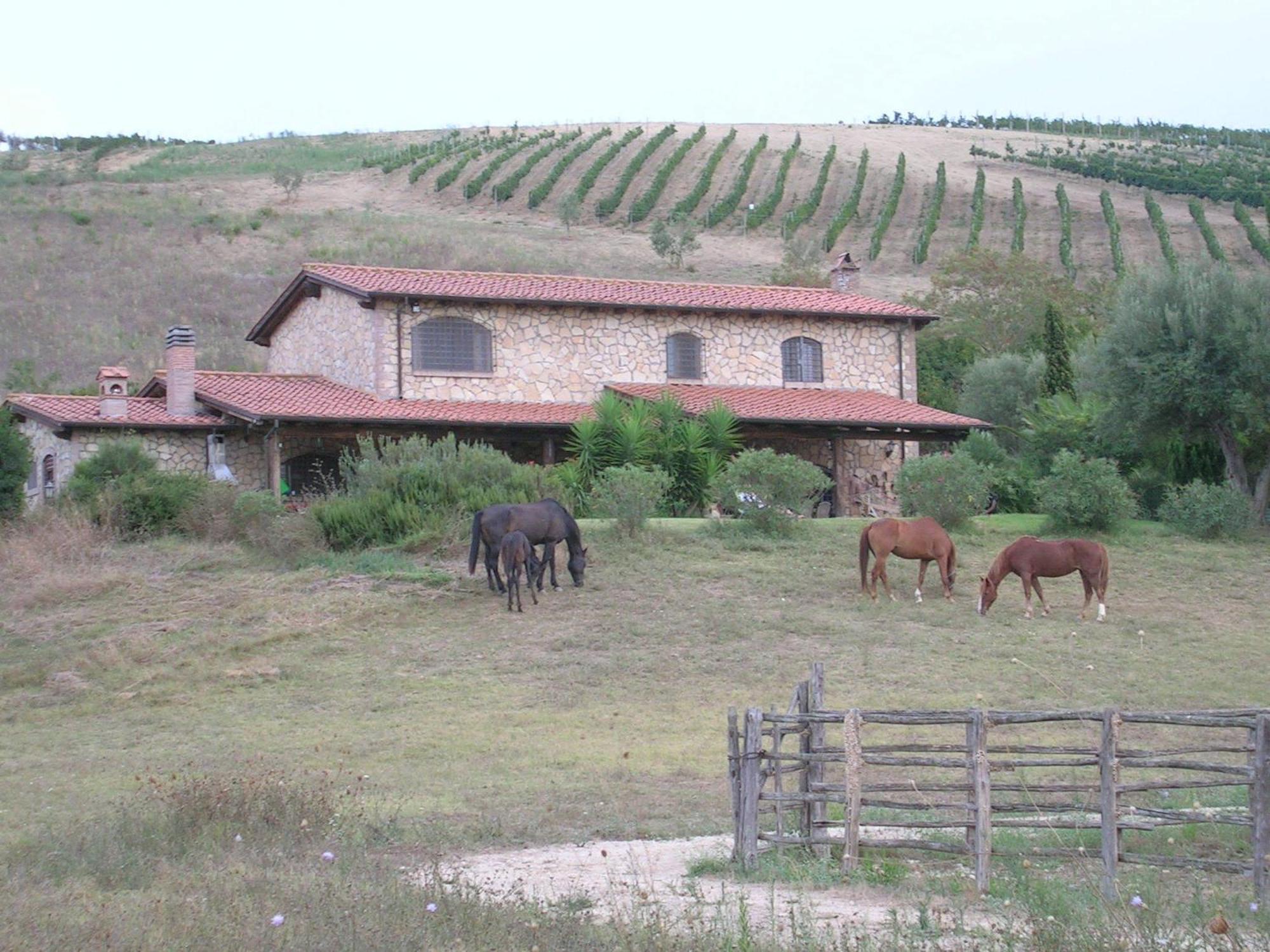 Casale Farnesiana B&B Tarquinia Eksteriør billede