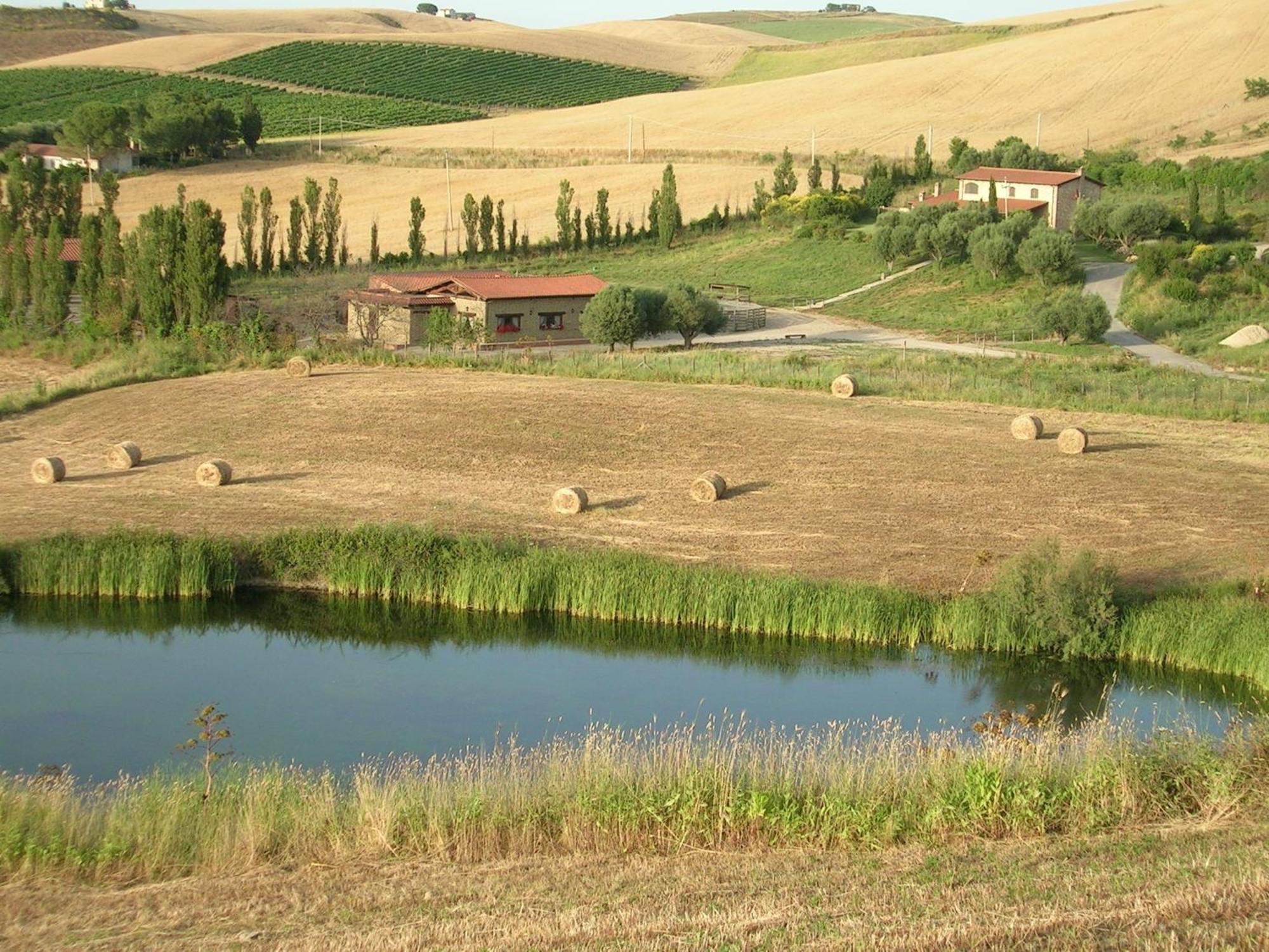 Casale Farnesiana B&B Tarquinia Eksteriør billede