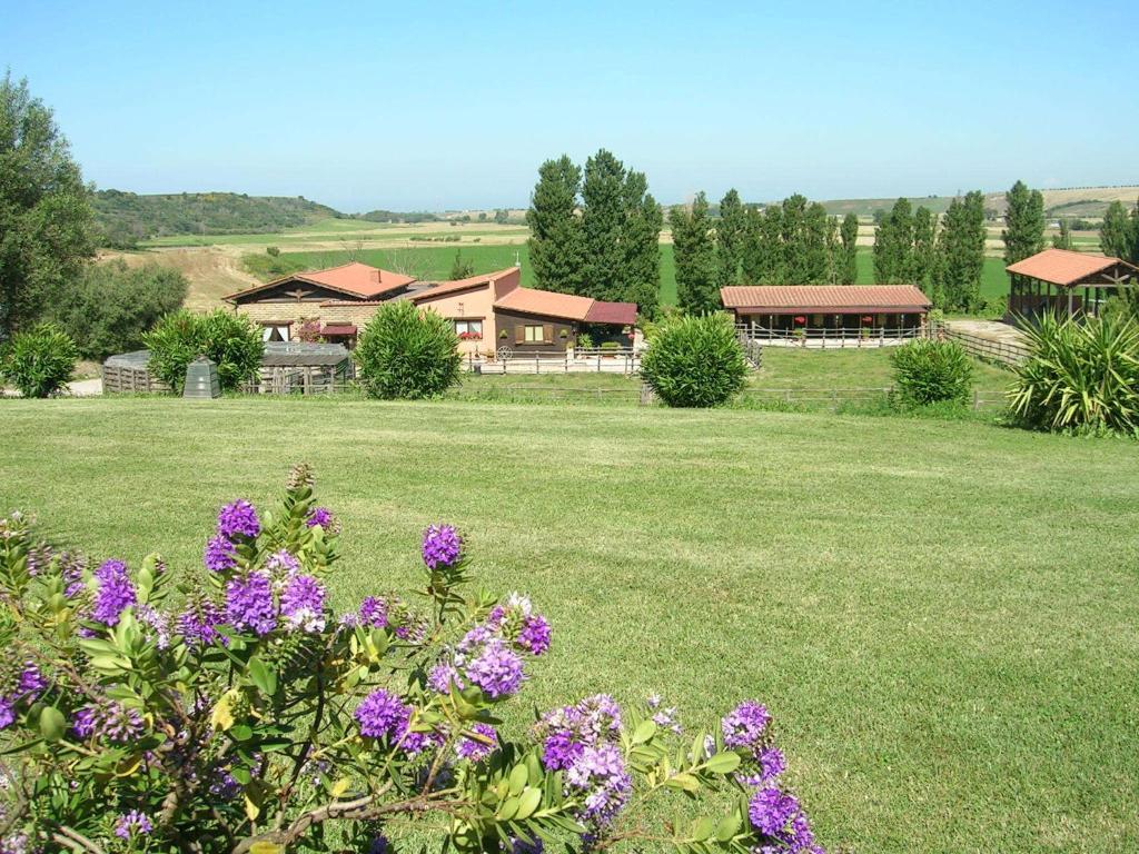 Casale Farnesiana B&B Tarquinia Eksteriør billede