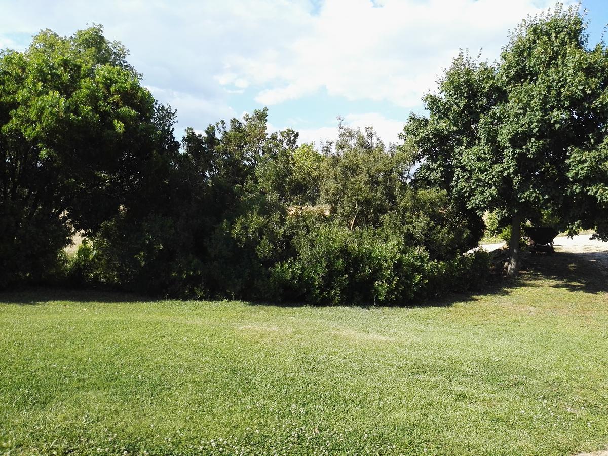 Casale Farnesiana B&B Tarquinia Eksteriør billede