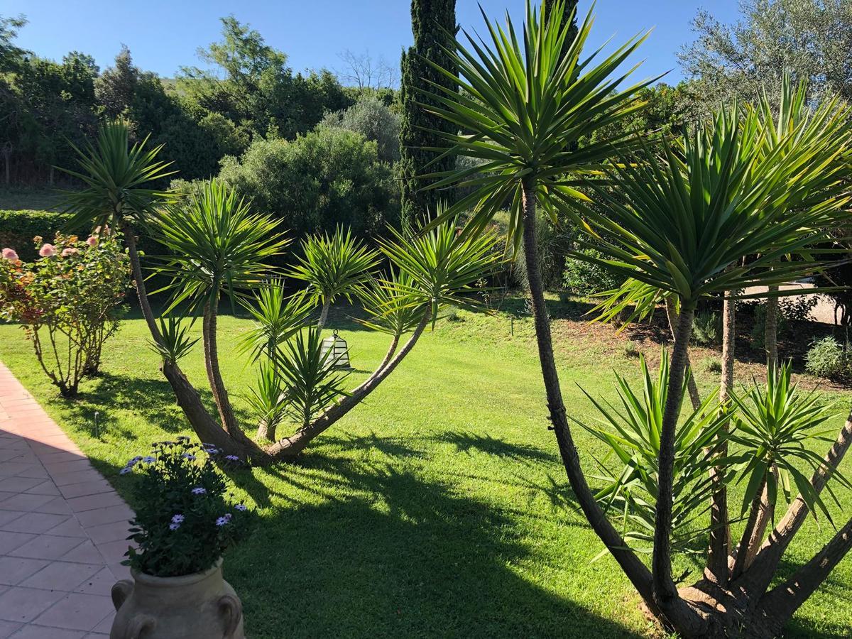 Casale Farnesiana B&B Tarquinia Eksteriør billede