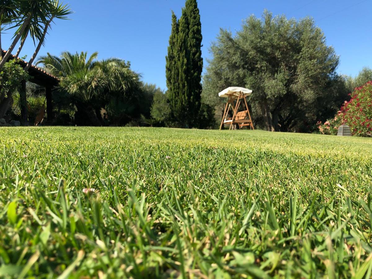 Casale Farnesiana B&B Tarquinia Eksteriør billede