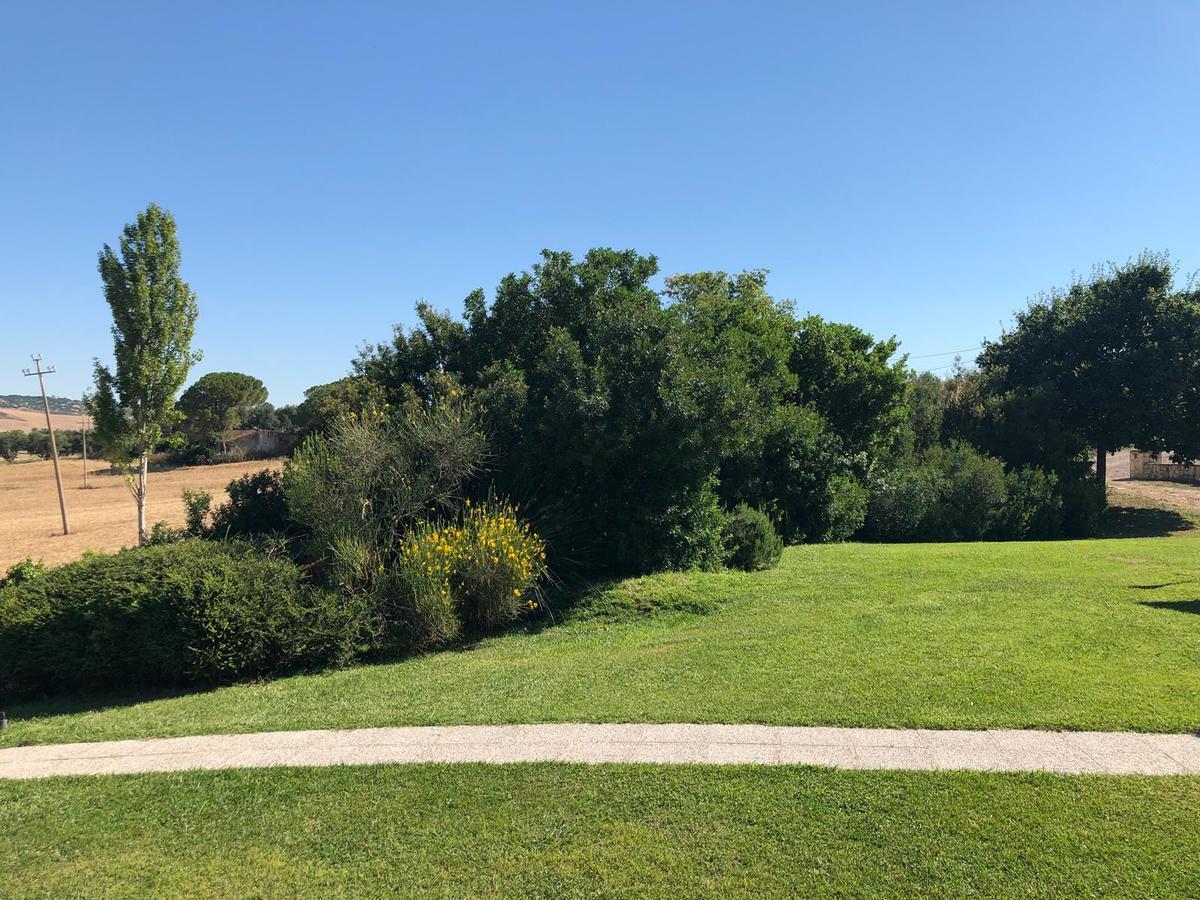 Casale Farnesiana B&B Tarquinia Eksteriør billede